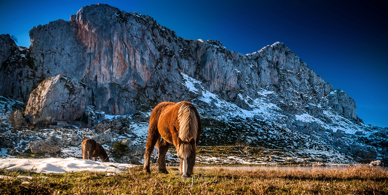 Paisaje de Picos de Europa cerca de Covadonga