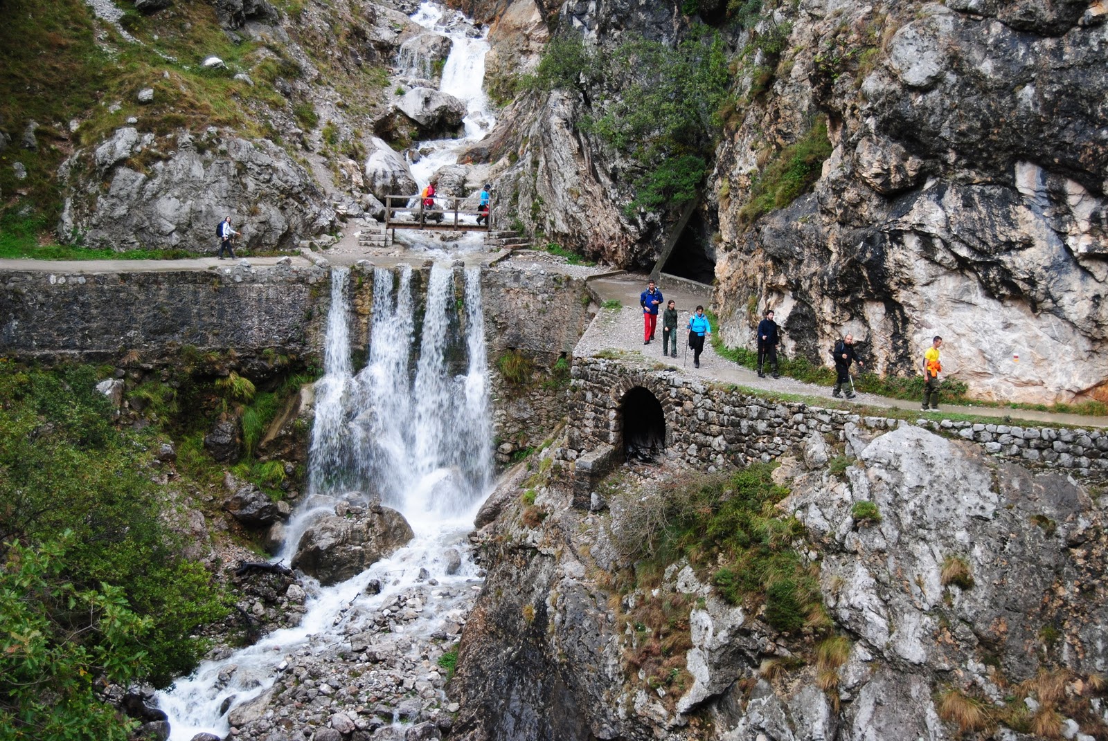 Sendero entre árboles para pasear cerca del hotel y Covadonga